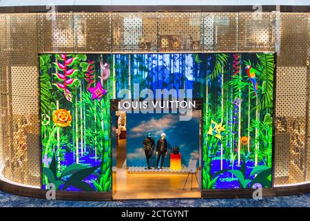 The first Louis Vuitton airport store with a digital entrance at Changi  Airport Terminal 3 in Southeast Asia Stock Photo  Alamy