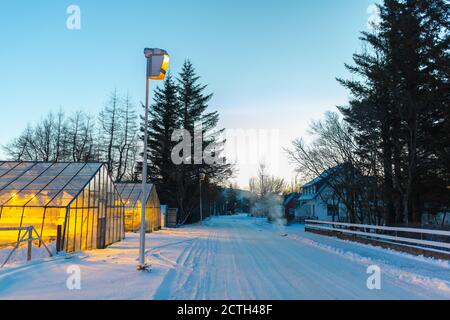 Industrial greenhouses for growing plants in winter Stock Photo