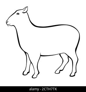 Sheep black white isolated illustration vector Stock Vector