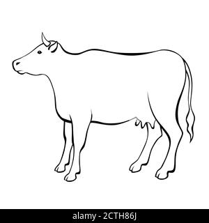 Cow black white isolated illustration vector Stock Vector