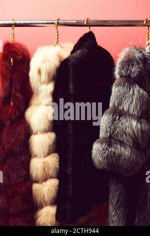 fashionable luxurious waist coats of fur hanging on rack on golden hangers on red studio background Stock Photo