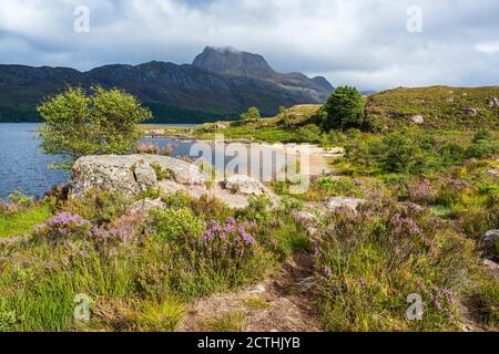 Purple heather along shoreline of Loch Maree with rugged crag of Slioch in distance – Loch Maree, Wester Ross, Highland Region, Scotland, UK Stock Photo