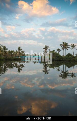 India, Kerala, Kollam, Munroe Island, Palm trees reflecting in backwaters Stock Photo