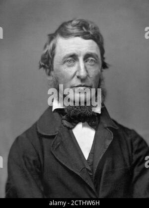 Henry Thoreau. Portrait of the American essayist, poet, and philosopher, Henry David Thoreau (1817-1862) by Benjamin Dexter Maxham, 1856 Stock Photo