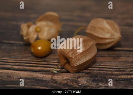 Physalis on a wooden background Stock Photo