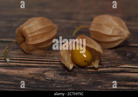 Physalis on a wooden background Stock Photo