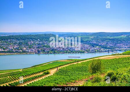 Aerial panoramic view of river Rhine Gorge or Upper Middle Rhine Valley winemaking region with vineyards green fields, Bingen am Rhein town, blue sky, Rhineland-Palatinate, Hesse states, Germany Stock Photo