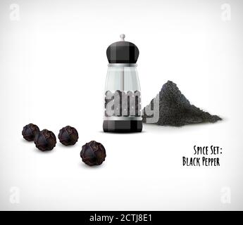 Pepper grinder with whole and ground black peppercorns. Lettering Spice Set, Black Pepper. Realistic effect. Spice Herb collection on vignette background. Vector illustration. Stock Vector