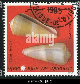 DJIBOUTI - CIRCA 1985: stamp printed by Djibouti, shows seashell, circa 1985 Stock Photo