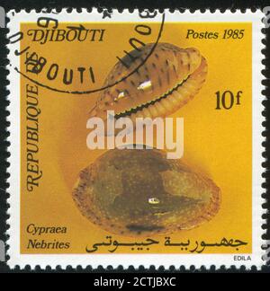 DJIBOUTI - CIRCA 1985: stamp printed by Djibouti, shows seashell, circa 1985 Stock Photo