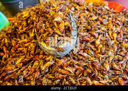 Grasshoppers in a pile ready for sale. Stock Photo