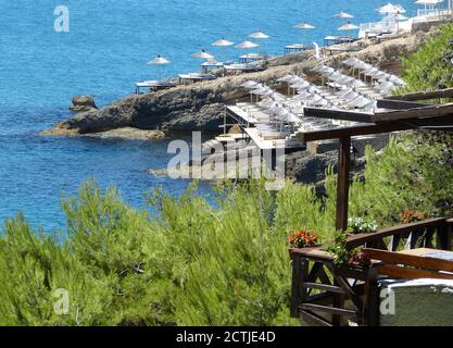 Amazing blue seascape. Adriatic sea. Rocky beautiful beach with white sun umbrellas. Pine coniferous trees. Wooden cafe. Summer time on Mediterranean. Stock Photo