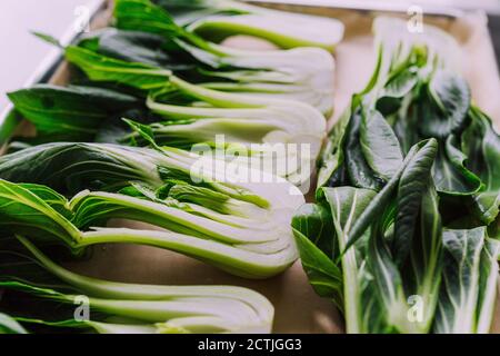 Green leafy bokchoy ready to roast in the oven Stock Photo
