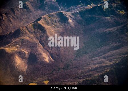 Burned Forest From Wildfire Taken From Plane Stock Photo