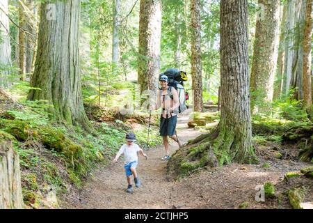 Father and son hiking on trail through lush old growth forest Stock Photo