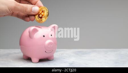 Piggy bank for bitcoins. A man holds a currency in his hands and puts bitcoin in a piggy bank on a gray background. Stock Photo