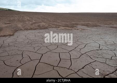 Cracked mud drying in field that had previously been flooded, England, UK Stock Photo