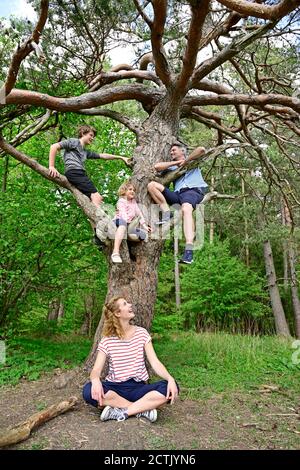 Family enjoying while playing on tree in forest Stock Photo