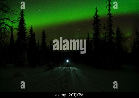Northern lights over lone hiker standing in middle of forest road at night Stock Photo
