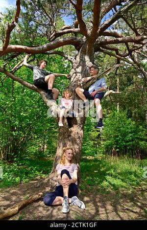 Family relaxing while sitting on tree in forest Stock Photo