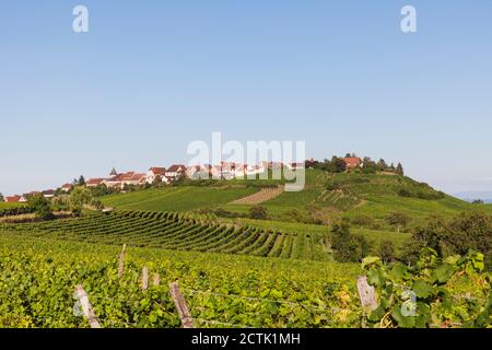 France, Haut-Rhin, Riquewihr, Clear sky over countryside village and surrounding vineyards in summer Stock Photo