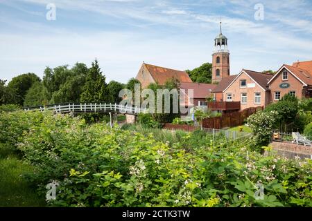 Germany, Lower Saxony, Ditzum, Green flowering bushes growing on edge of old town in summer Stock Photo