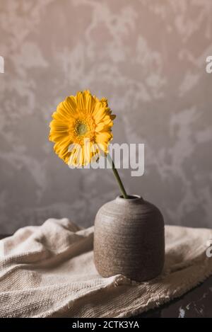 Close-up of sunflower in vase on table against wall at home Stock Photo