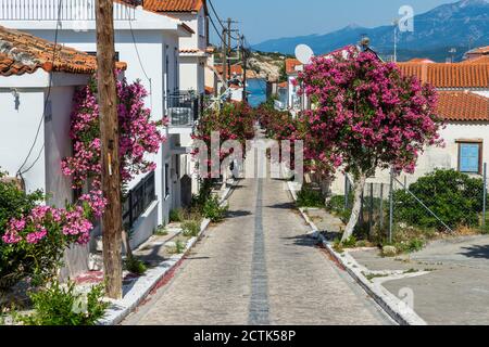 Greece, North Aegean, Pythagoreio, Houses and pink blossoming trees along cobblestone town street Stock Photo