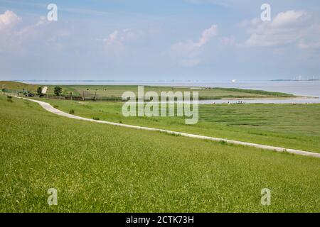 Dirt road cutting through green meadow on bank of Ems Stock Photo