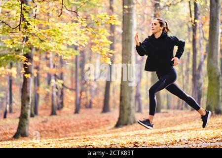 Woman jogging in an autumn forest in Arboretum, Seattle Stock Photo - Alamy