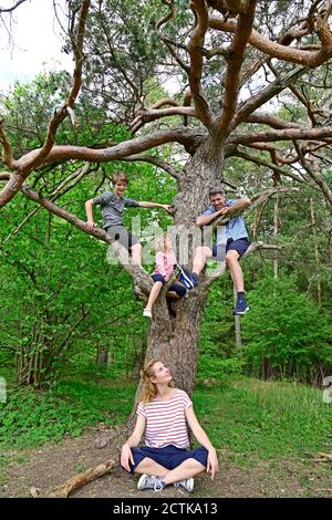 Mother looking up at man and children sitting on branch in forest Stock Photo