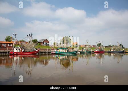 Germany, Lower Saxony, Krummhorn, shrimp boats moored in Greetsiel Stock Photo