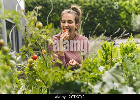 Happy young woman eating cherry tomato amidst plants in community garden Stock Photo