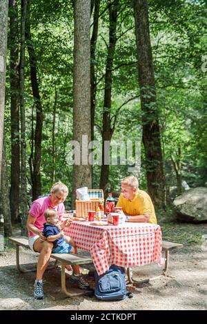 Tennessee Great Smoky Mountains National Park,family families mother father kids children picnic table eating nature natural setting, Stock Photo