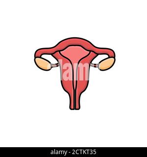 uterus vector design template illustration Stock Vector