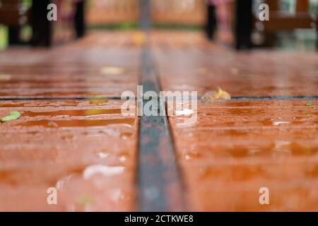 close up the Wet wood floor with falled leaves at outdoor field after the rain comes. Stock Photo