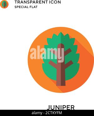 Juniper vector icon. Flat style illustration. EPS 10 vector. Stock Vector