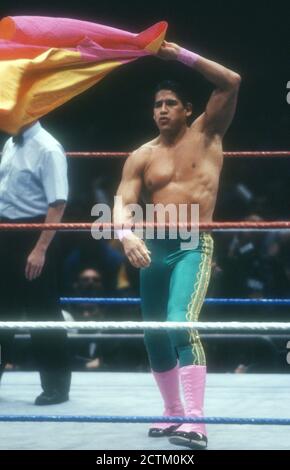 1989 Tito Santana John Barrett/PHOTOlink Stock Photo - Alamy