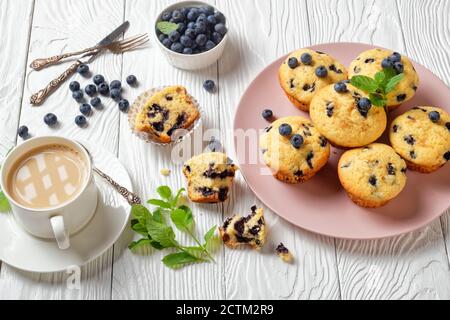 Blueberry muffins baked with fresh blueberries on a pink plate with fresh mint on top and cup of tea with milk on a white wooden background, top view, Stock Photo