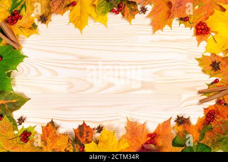 Autumn border from fallen leaves, red berry and cinnamon on wooden background. Thanksgiving day concept. copyspace Stock Photo