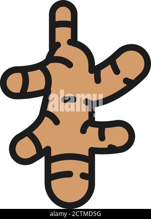 Ginger, turmeric, spice flat color line icon. Isolated on white background Stock Vector