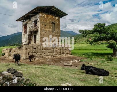 Traditional Bhutanese farmhouse in Punakha, Bhutan Stock Photo