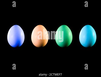 Colored eggs with black background - Photograph in studio set up Stock Photo
