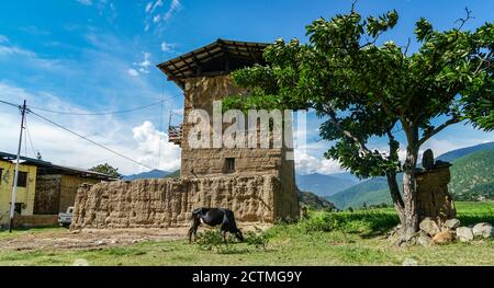 Traditional Bhutanese farmhouse in Punakha, Bhutan Stock Photo