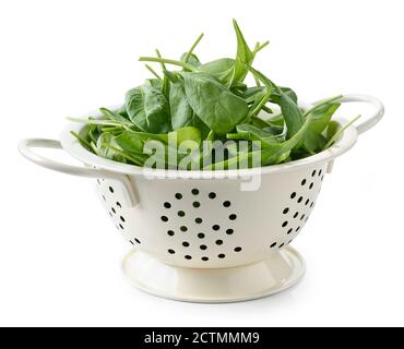 fresh spinach leaves in white colander isolated on white background Stock Photo