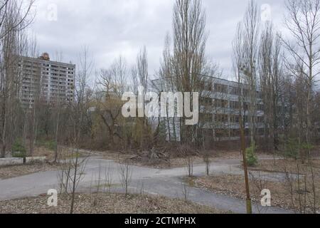 Abandoned houses in Pripyat among the trees. Abandoned residential buildings in the area of radiation contamination. Stock Photo