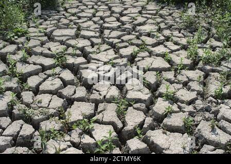 Dried-up lake in the 'Bucharest Delta', Văcărești, Bucharest, Romania, 2020 Stock Photo