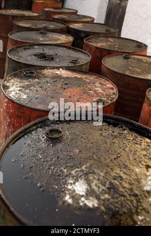 Old oil barrels Stock Photo