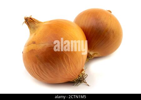 two onion bulbs isolated on a white background Stock Photo