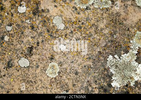 surface of old slate stone for background, texture Stock Photo